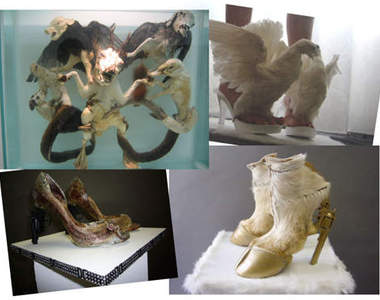  《動物鞋款》真的是用動物做成的！？