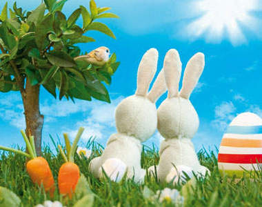 《萌兔》小時候最喜歡的兔寶寶～現在還是好喜歡～