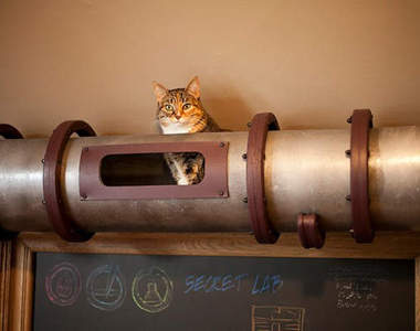 《貓通道》養貓一族必備的好傢私～～