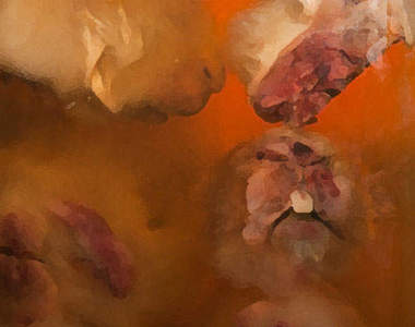 福馬林與標本 布魯塞爾的廢棄獸醫學校