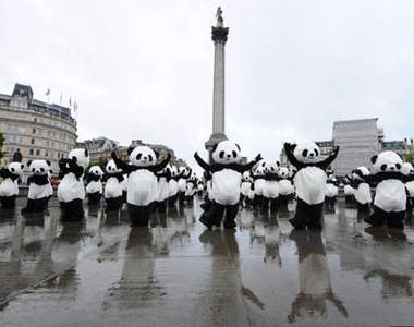 《108功夫雄貓》in倫敦!跟熊貓一起打太極吧~