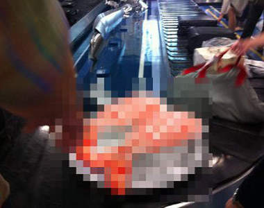 《巨大壽司託運》⊙▃⊙機場變成迴轉壽司店了嗎～？