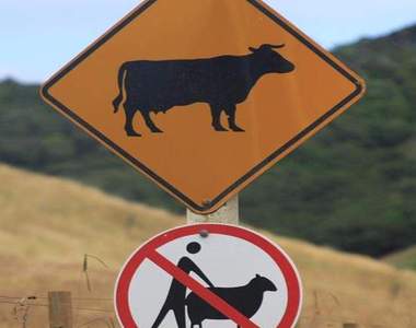 爆笑標示牌 小心你的車子下有企鵝!