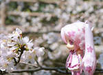 櫻花初音 全身都PINK☆閃亮登場 櫻花初音 全身都PINK☆閃亮登場