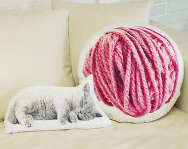 超可愛的《轉印抱枕》 貓貓狗狗隨你挑啦～