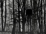 都市傳說《Slender MAN》小心樹林深處那詭異瘦長的男人... 都市傳說《Slender MAN》小心樹林深處那詭異瘦長的男人...