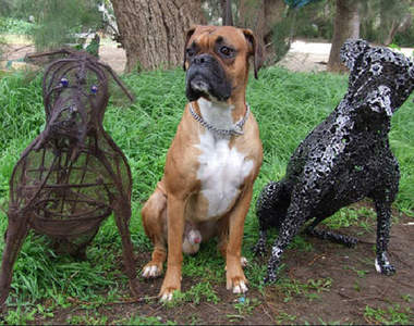 《車鍊狗》用車鍊做成的小狗也可以這麼逼真...(⊙＿⊙)