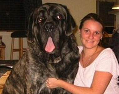 《巨犬》表示：我很大~但我很溫柔