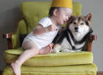 柴犬Maru與小BABY一茶的共同生活~♥ 柴犬Maru與小BABY一茶的共同生活~♥