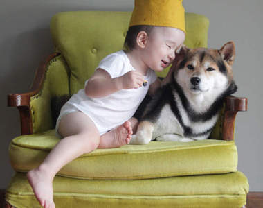 柴犬Maru與小BABY一茶的共同生活~♥