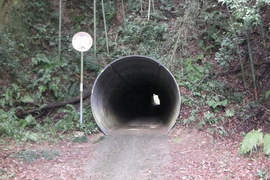 岩谷隧道 經過這條隧道一定要記得低頭!不然你會...... 岩谷隧道 經過這條隧道一定要記得低頭!不然你會......