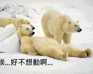 真的是「懶人包」有沒有懶惰成這樣！(老媽口吻)