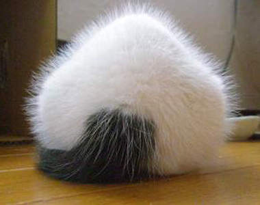 《貓飯團》～餓了可以大口咬下去嗎？！σ(≧ω≦*)