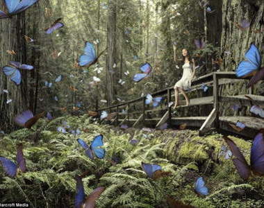 2013年度 《Sony世界攝影獎》公開賽「精彩作品」搶先賞欣囉