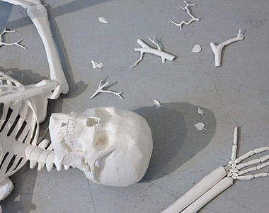 超不可思議!你一定要認識的紙藝大師 Peter Callesen ~