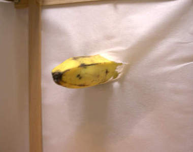 《戳紙門》讓你享受破壞的樂趣～看我的戳戳連續技～