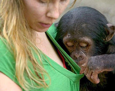 ㄟ～動物！你色色了啦～︽⊙＿⊙︽