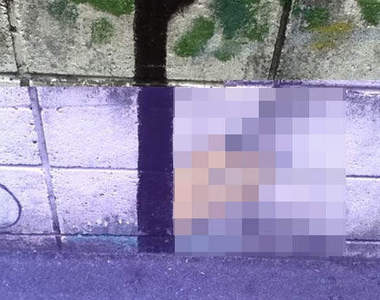 《不氣味貓壁畫》好像是真的有點那麼毛骨悚然......