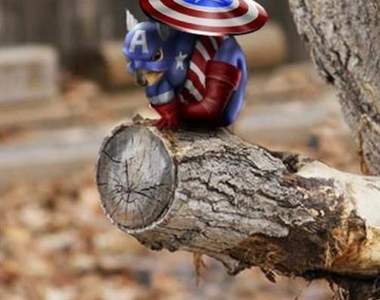 《松鼠復仇者聯盟》　PS果然無敵啊～