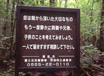 自殺聖地富士山樹海 以後將可能推行相關旅遊計畫? 自殺聖地富士山樹海 以後將可能推行相關旅遊計畫?