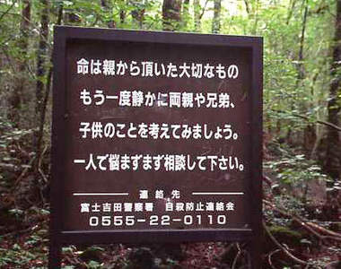 自殺聖地富士山樹海 以後將可能推行相關旅遊計畫?