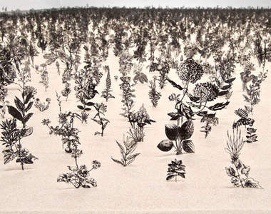 驚人的《鋼鐵花園》 好美麗可是感覺好危險...