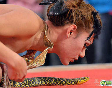 貴陽汽車文化節...美女之外的兇猛動物也來站台~(暈)