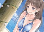 PS VITA《托托莉的鍊金工房Plus》獻給貧乳控的初回泳衣特典 PS VITA《托托莉的鍊金工房Plus》獻給貧乳控的初回泳衣特典