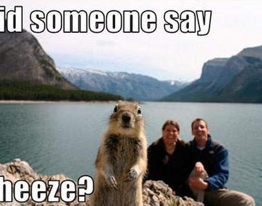 《囂張的動物們》特輯~你在叫我嗎？