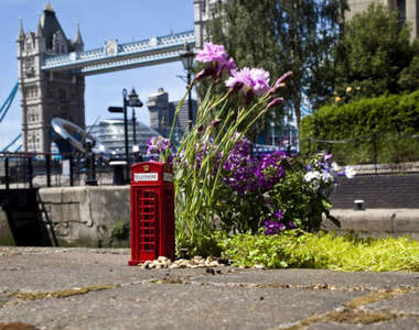 路見不平就用癒療系的迷你庭園來填滿它吧！　