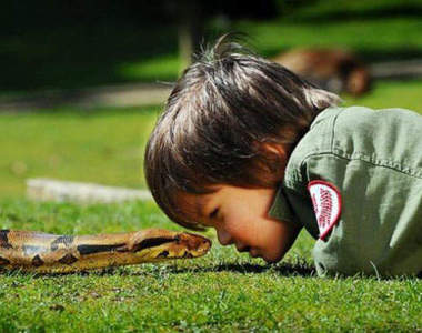 澳洲高手多～兩歲小孩就能跟蛇玩((((゜Д゜;))))