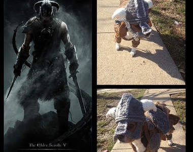 「狗狗專用編織頭盔」我以前也是隻好獵犬，直到我膝蓋中了一箭...