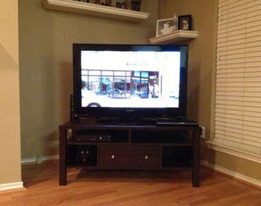 貓的！I am watching you～（手勢）