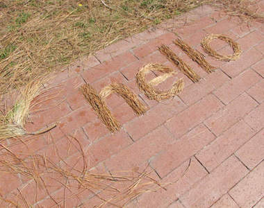 《自然藝術》如果大自然會說話~會說什麼呢？