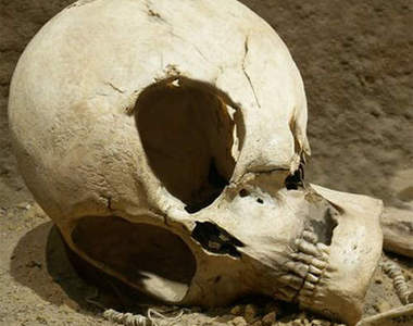 WTF on Mars!火星上又發現死人骨頭了?