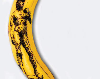 香蕉皮上的刺青 捨不得剝皮是要怎麼吃啊~