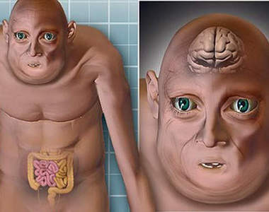 千年之後人類的模樣 科學家的預測真是嚇人一跳