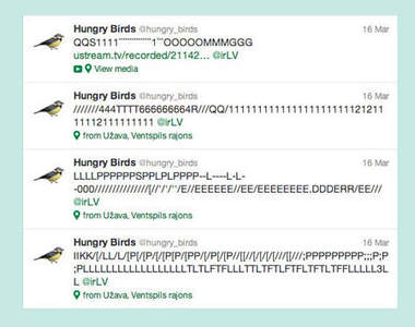 《鳥推特》真的是由鳥來寫推特唷....