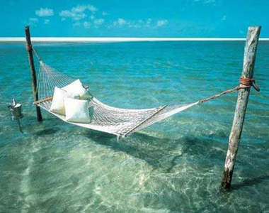 睡覺皇帝大（咦？） 最喜歡哪種床呢？