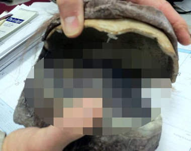 如果收到這種邀請函 我可能會報警......