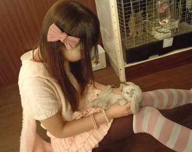 《兔兔女僕寵物店》用想的就覺得好萌阿～