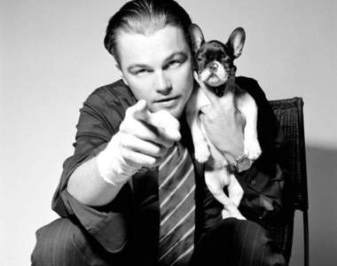 如何與寵物一同入鏡？來向大明星學習一下～