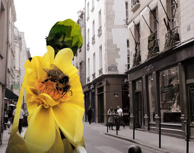 《拼貼人像》你在煩惱些什麼呢？親愛的～