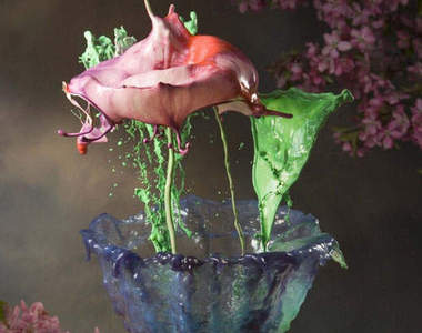 《水波花》水波炸開瞬間的美感