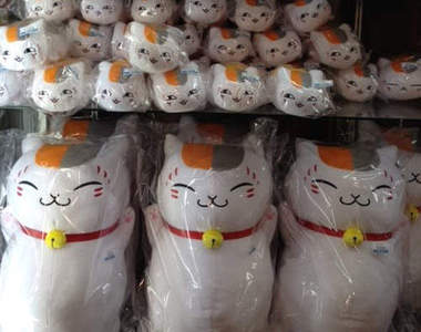 期間限定《貓咪老師專門店》東京開張