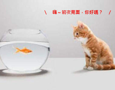 第一次聊天就上手!讓初次見面異性留下好印象的話題是...???