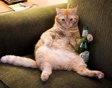 來一杯自己釀的酒吧～呼搭啦！