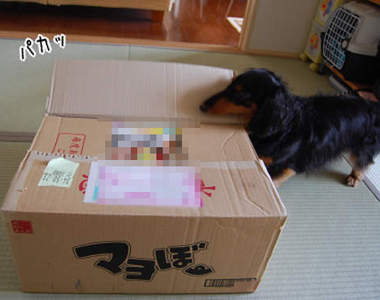 《老家寄來的包裹》雖然傻眼但還是好有愛～♥