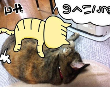 《兔男愛貓男相框App》超可愛脫力系的相片特效應用程式～