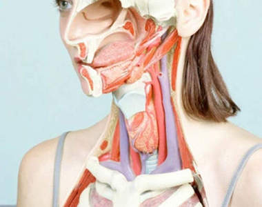 超逼真的《獵奇女體解剖圖》！